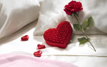 Ultimátní randící rádce