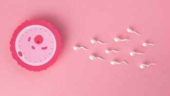 Jak podpořit otěhotnění? Praktické tipy, které zvýší vaše šance na početí