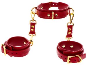 Luxusní obojek s D-kroužky a pouty na ruce Taboom – BDSM obojky